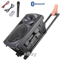 12 Portable Bluetooth Karaoke Speaker Remote USB FM wireless DJ Microphone