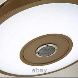 42Bluetooth Speaker Remote Control Colorful Change Music Ceiling Fan Chandelier