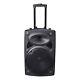 Portable Active Bluetooth Wireless Pa Speaker Mic Amp Usb Sd Lcd Fm 12 Woofer