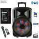 Portable Bluetooth Wireless 2500 Watts Pa Speaker With Microphone & Remote Control