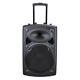 Portable Remote Bluetooth Wireless Pa Speaker Mic Amp Usb Sd Lcd Fm 15 Woofer