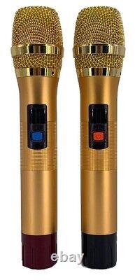Singtronic BT-1212Pro Portable Bluetooth Karaoke Speaker Free 2 x Wireless Mics