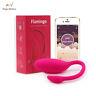 Wearable Bluetooth Wireless Phone App Remote Control Vibration Panties Massager