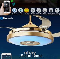 Enceinte Bluetooth 42 Télécommande Changeante de Couleur pour Ventilateur de Plafond et Lustre