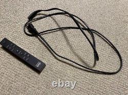 Enceinte sans fil Bluetooth Sony SRS-X99 noire avec télécommande filaire, utilisée et testée au Japon